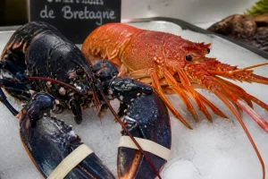 Homard bleu et langouste rouge-orangé posés côte à côte sur glace pilée chez un poissonnier